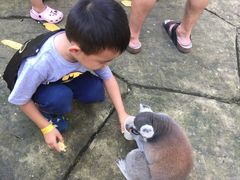 -富国岛珍珠游乐园