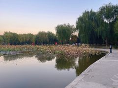 -太阳宫公园