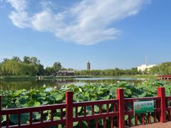 -西海子公园