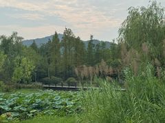 -长广溪湿地公园