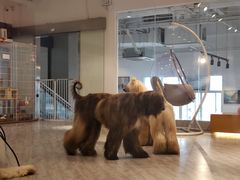 -赢吧Bliss音乐酒吧