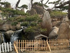 -罗红摄影艺术馆