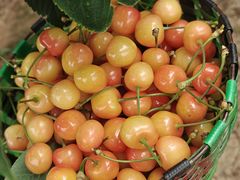 -大泽山风景名胜区