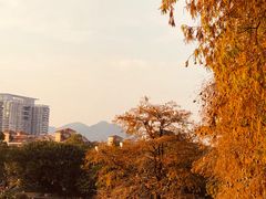 -肥妹烧腊店(洪湖店)