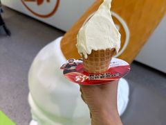 -野人先生现做冰淇淋(北京悠唐购物中心店)