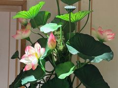 -禾珍珠家常小馆(河南博物院店)