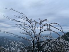 -金子山原生态旅游风景区