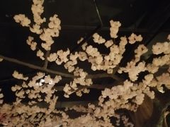 -蓝鲸湾汤泉(包河店)