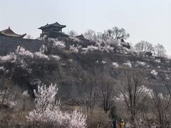 -妙峰山风景名胜区