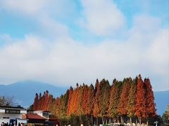 -云南民族村