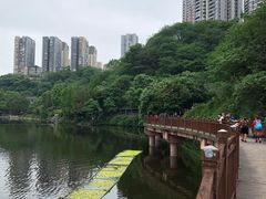 -重庆彩云湖湿地公园