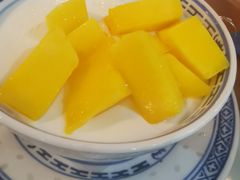 -丞記傳承