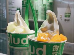 -Salud撒露欧洲冻酸奶(蓝色港湾店)