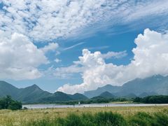 -大九湖