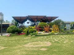 -上海长兴岛郊野公园