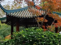 -中山公园
