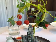 -鱼翅楼·津派砂锅鱼翅(水上公园店)