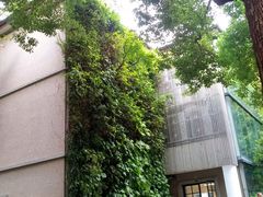 -徐家汇源景区-衡山坊