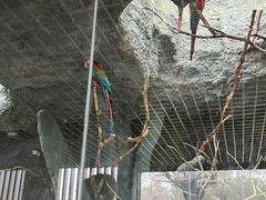 -武汉动物园