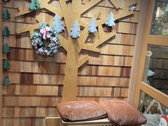 -MOCHA明星猫咖(田子坊店)