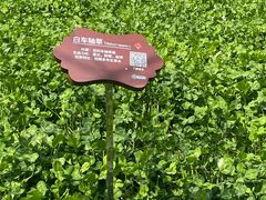 -白塘生态植物园