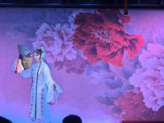 -盖碗儿梨园·变脸吐火·川剧(天府广场店)