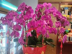 -全聚德烤鸭店(马家堡店)