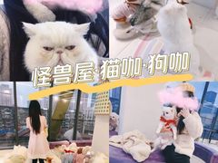 -怪兽屋·羊驼·猫咖·狗咖(俊华广场店)