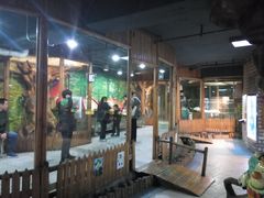 -上海大自然野生昆虫馆(东方明珠·爬宠昆虫探索中心)