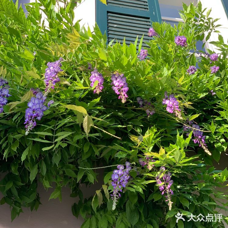 巴塞尔（又称为巴泽尔，德：Basel，法：B氀攀