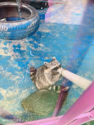 -萌宠亲子动物乐园(槐房万达店)