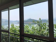 -望湖烤鱼