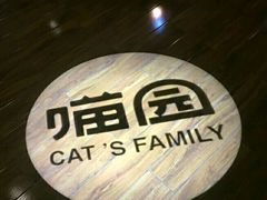 -喵园·猫主题咖啡厅·撸猫·猫咖(国贸店)