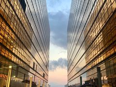 -香港皇家太平洋酒店