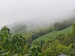 -敬亭山风景名胜区