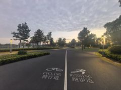 -南汇新城城市公园