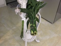 -白鹭湾湿地公园