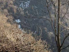 -秦岭风景区