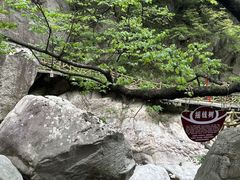 -洛阳白云山景区