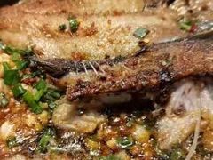 -聚鑫朋酸菜肥肠(文艺路口店)