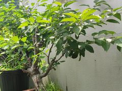 -她说户外烧烤团建(西湖店)