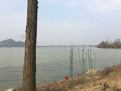 -光谷希尔顿酒店-厨意意大利餐厅(鸿雁路店)