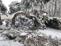 -长春市南湖公园