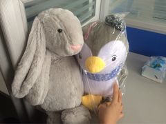 -PAWTOY爪e玩偶店(天兴罗斯福店)