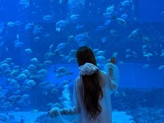 -南昌融创海世界