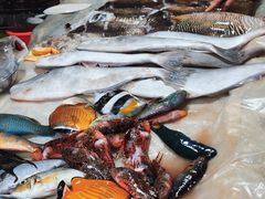 -鸿港海鲜批发市场