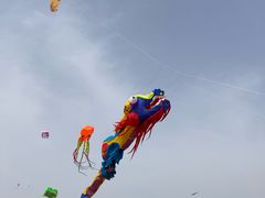 -潍坊滨海云门国际风筝放飞场