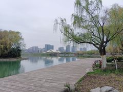 -天鹅湖体育公园