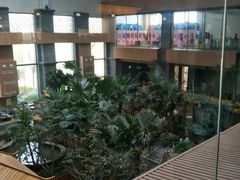 -陆地游轮吉林神农温泉