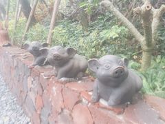 -美的鹭湖森林度假区